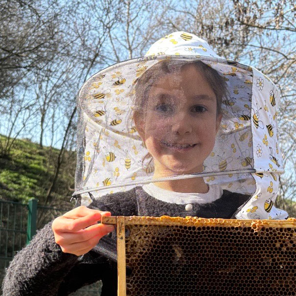 Bienen-Workshop Kindergarten und Schule