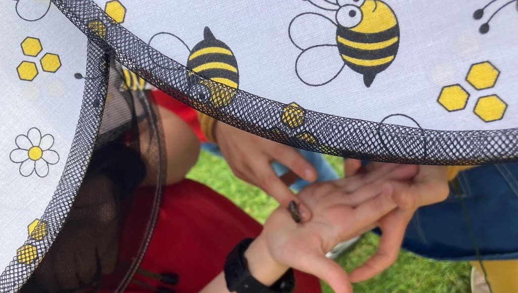 Bienen-Workshops Kindergarten und Schule